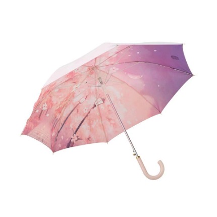 2021 스타벅스 벚꽃 우산 장우산